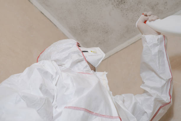 Best Residential Mold Removal  in Baldwin, LA